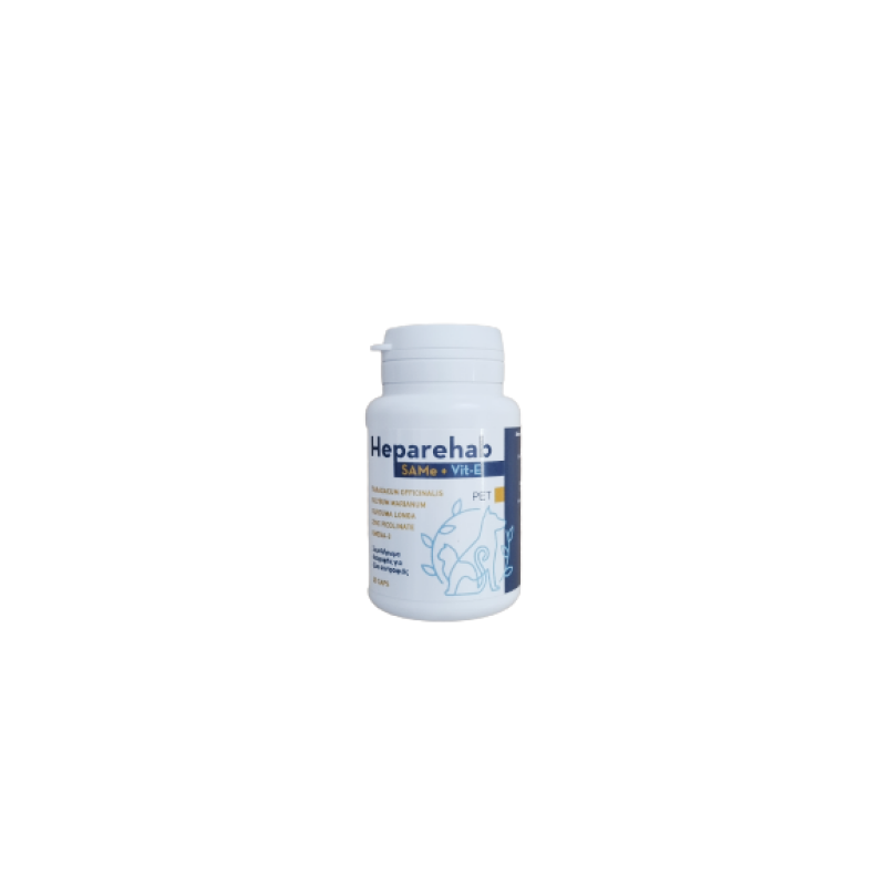 Συμπλήρωμα διατροφής Heparehab SAMe 250mg advance για ηπατοπαθή κατοικίδια